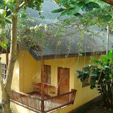 Sun Garden Hilltop Resort Manoc-Manoc Екстериор снимка